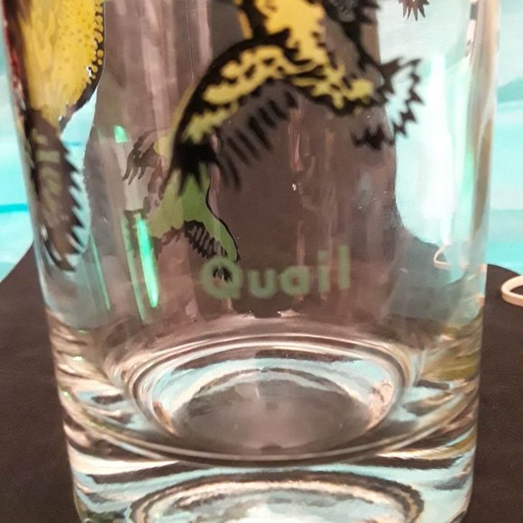 QUAIL - GAME BIRD GLASS - 12-OUNCE TUMBLER - MID CENTURY - 5-1/4" TALL - Picture 4 of 4